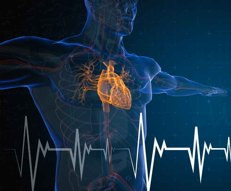 Ο ρόλος της Πυρηνικής Ιατρικής στη διάγνωση καρδιαγγειακών παθήσεων