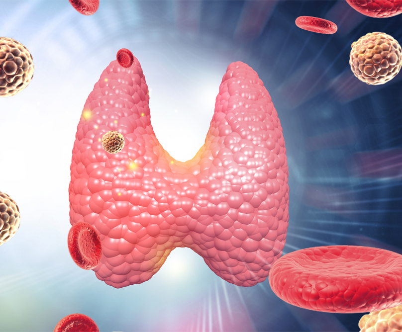 Όζος στο Θυρεοειδή: Πότε είναι καρκίνος και ποιες εξετάσεις χρειάζονται