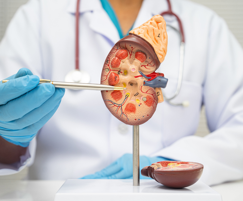 Σύγχρονη Χειρουργική Επινεφριδίου: Η νέα ελάχιστα επεμβατική τεχνική που αλλάζει τα δεδομένα